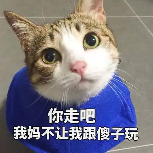 傻子表情包大全我妈不让我跟傻子玩楼上是傻子你怕是个傻子
