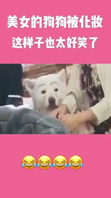 美女的狗狗被化妆,这样子也太好笑了,丑萌丑萌的
