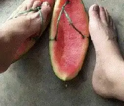 路过小树林发现的,这里发生过一场激烈的战斗哈哈哈我都不敢想象
