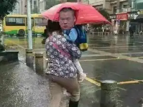 在孙红雷的带领下,小岳岳已被油菜花的网友玩坏
