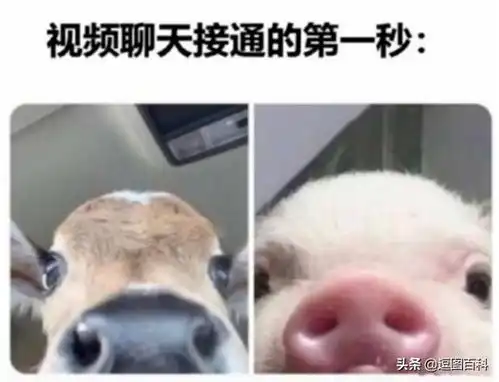 七夕要浪漫也要生活
