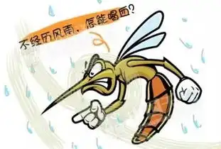 你为什么招蚊子跟血型有关吗
