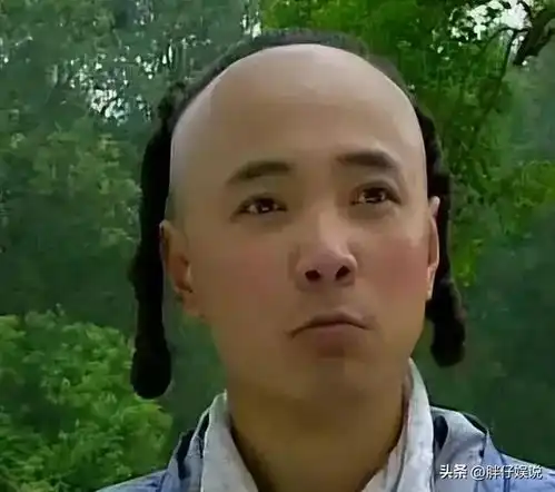四个版本的猪八戒前三位各有特色,只有他演成了经典
