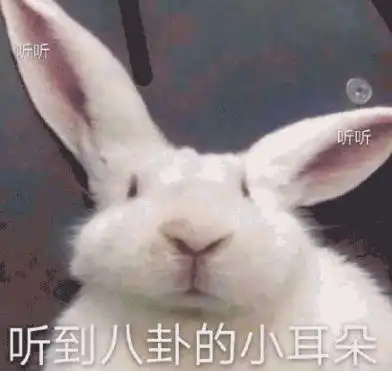八一八青春有你2的秘密,有你pick的女神吗
