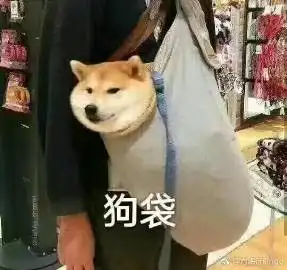 方岷行ringo的微博微博
