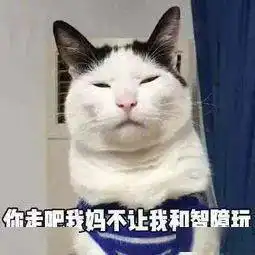 壁纸睡了吗来斗图啊
