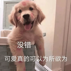 热门搞笑表情包图片可爱真的可以为所欲为

