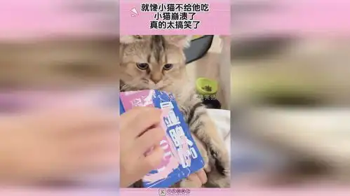就馋小猫不给他吃,小猫崩溃了,真的太搞笑了
