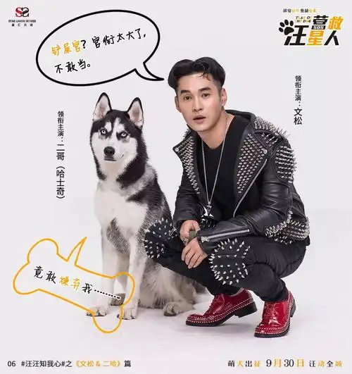 萌宠喜剧大电影营救汪星人
