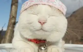 有个懂事的弟弟是什么体验
