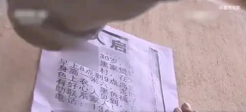 男子杀妻焚尸,报警称妻子失踪,一张寻人启事却让他暴露纪录片

