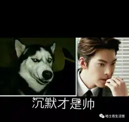 哈士奇搞笑图片
