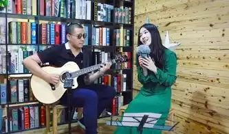 音乐人的随身录音棚,索尼pcmd100
