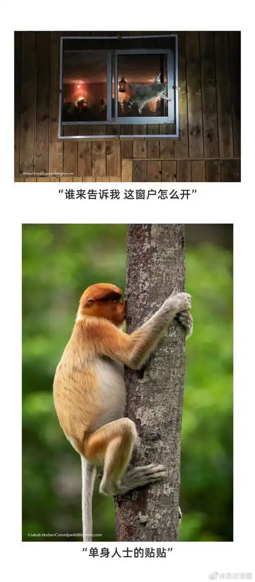 段子一串哈哈哈哈哈哈哈哈哈哈哈哈哈哈哈哈哈哈一笑时候对方
