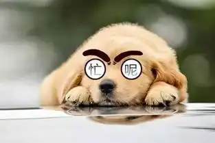 重庆超八成职场人有过加班经历这三大行业加班累成狗
