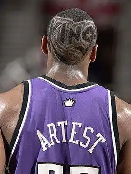nba潮人发型稀奇古怪阿泰大虫独树一帜
