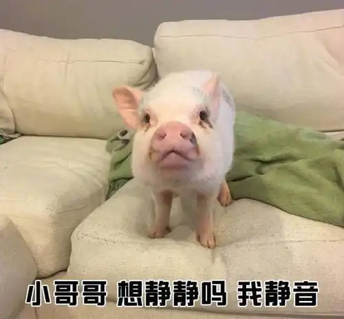 搞笑图片幽默笑话爸妈偶尔要上夜班,半夜才回来
