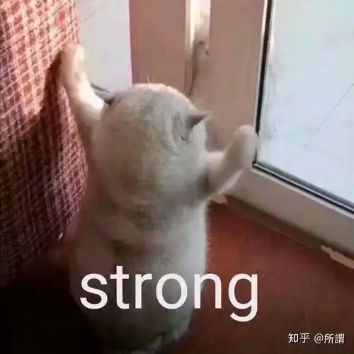 秘书学是一个怎样的专业
