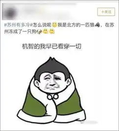 苏州靠冷上了热搜一个南方城市的冬天,竟打败了北方人
