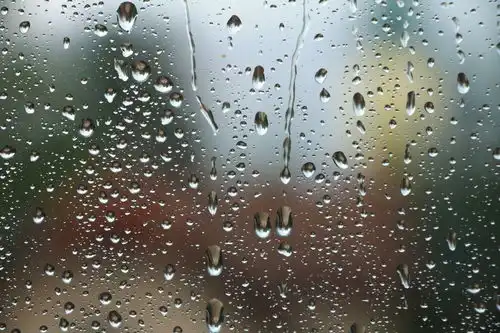 今天南京最高温22夜里雨水来
