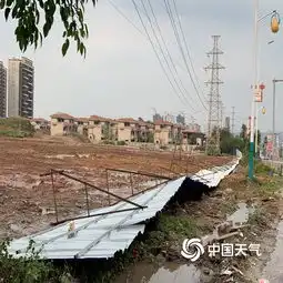 强对流袭广西玉林12级大风刮倒大树图片中国天气网
