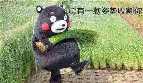 骑电动车又不强制带头盔韭菜割完,收工
