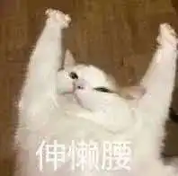 日常吸猫系列表情包,废猫扶不上墙
