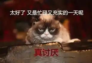 猫界网红不爽猫曾带给我们无限搞笑的它去世了
