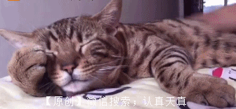 搞笑图片上课玩手机,老师这个惩罚有点过分啊
