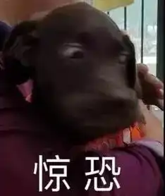 双十一爆笑买家秀你是要把我笑死,继承我的快递吗
