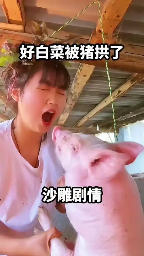 笑死人不偿命,搞笑,搞笑段子
