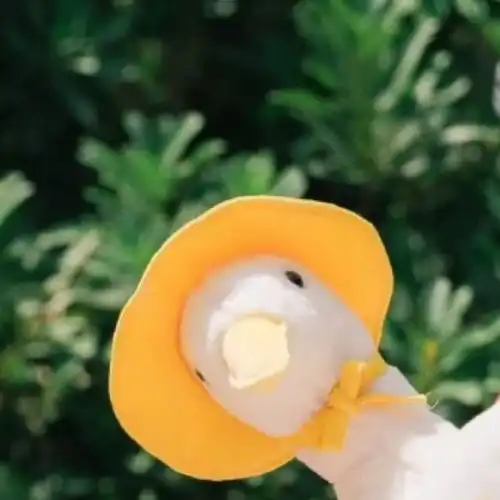 深圳交友温柔是夏夜馈赠的礼物
