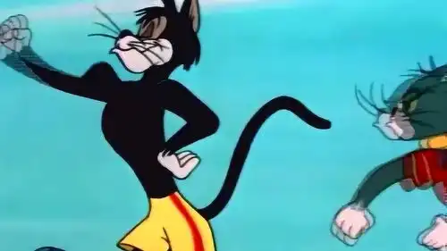 猫和老鼠汤姆真倒霉,自己带来的老妹,被别的猫搭讪

