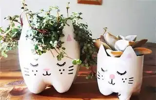 用家里的塑料瓶搞些小制作,真的不错哦
