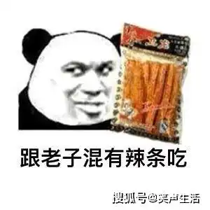 搞笑gif动图坚强的狗狗,你还有理由不努力吗
