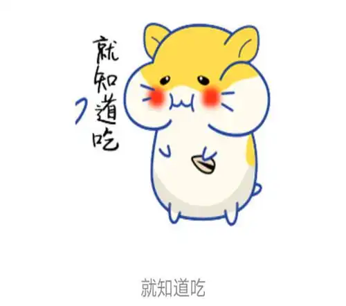 搞笑gif趣图妹子,等下要考科目二了吧,练得这么认真
