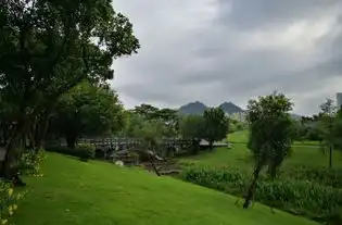 深圳中心公园攻略,深圳中心公园门票游玩攻略地址图片门票价格
