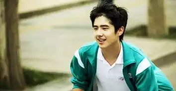 tfboys刘昊然吴磊张逸杰这些95后小生以逆天之势成长
