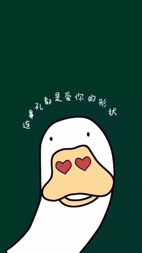 壁纸希望遇到你的那一天阳光可爱,微风可抱
