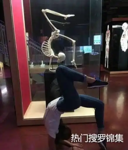 搞笑gif老哥你是怎么得罪媳妇的,不知道到明天鼻子还正常吗
