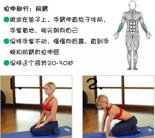 全身各部位肌肉拉伸动作大全
