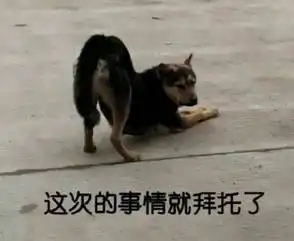iphone12在什么平台什么时候买更划算
