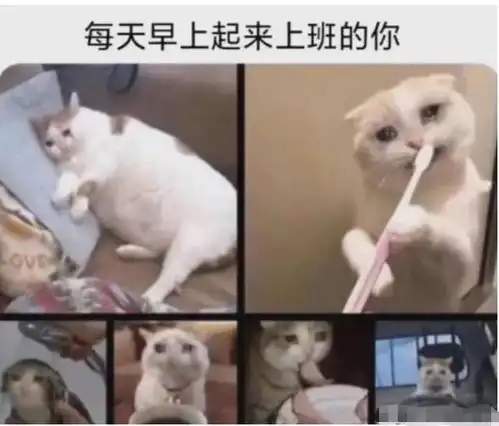 这是我们班的女生,想看看大家班里的女生什么样,哈哈哈哈
