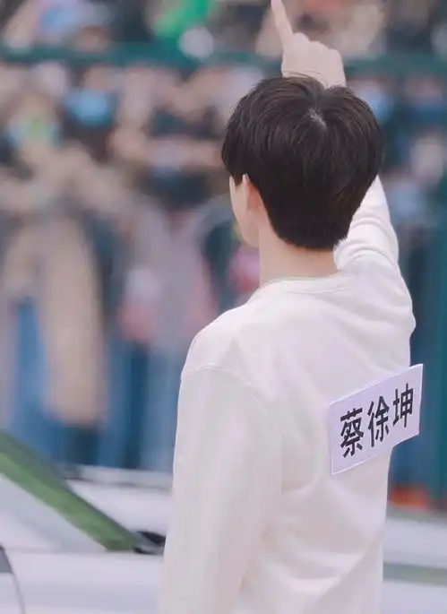 蔡徐坤壁纸春风再美也比不上你的笑,没见过你的人不会明了
