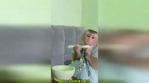 猴哥这勺子用的有模有样了猴子搞笑
