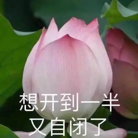 孤独自闭表情图片搞笑我自闭了调侃表情包
