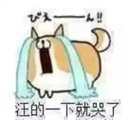 搜狐公众平台单身狗情人节生存指南
