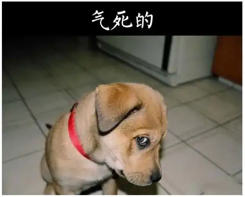 销售人员的7种死法
