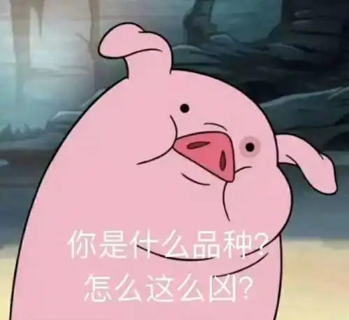 当你累的时候

