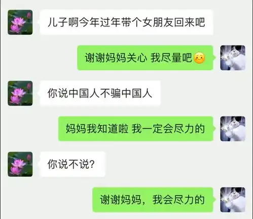 你说中国人不骗中国人沙雕聊天搞笑视频

